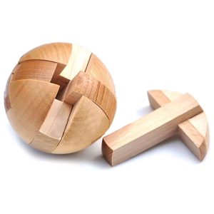 Brain Teaser Wood Puzzle- Genius Challenge