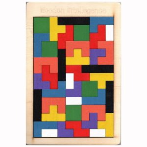 Tetris Wooden Puzzle, Montessori Learning with Toys